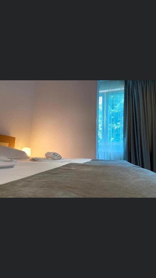 Manea Orsova Hotel Luaran gambar