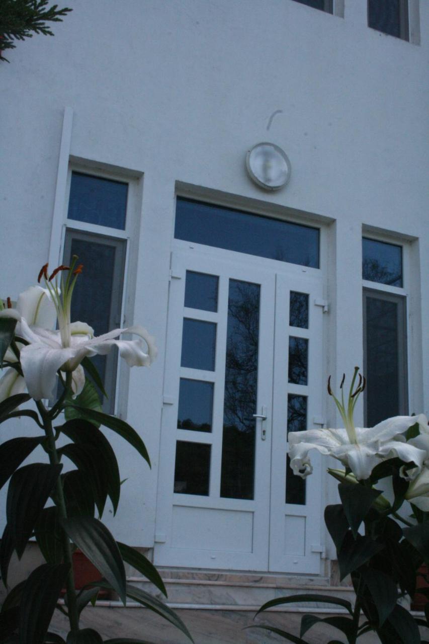 Manea Orsova Hotel Luaran gambar